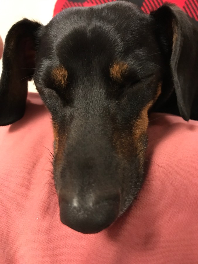 Is The Art of Conversation&nbsp;Dead?