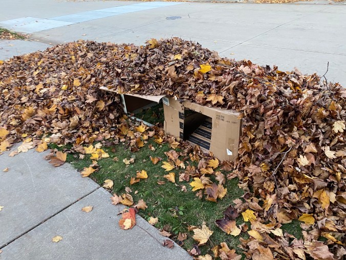 Living in a logical world of my&nbsp;writing