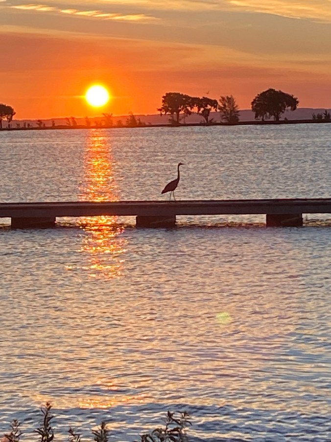 Healing Through Poetry: Expressing&nbsp;Emotions